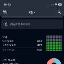 나우피티스튜디오