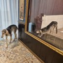 호수공원 수질정화센터 화장실 | [수원 이색데이트] 수원 고양이카페 "MIYAO" 미야오 광교점 방문후기