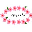 갸또디솔레 이미지