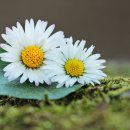 서울성모장례식장 이미지