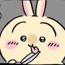 우사기 이미지