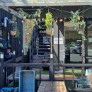 신덕로 | 포항 양덕 맛집 지글지글 소리까지 맛있는 포항돌짜장 솔직후기