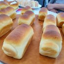 햇살목장 이미지