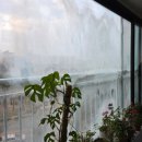 태성산업 | 청주 베란다 샷시교체 백화현상 우리집만 그런가요? 태성산업샷시유리인테리어 샷시교체 후기