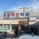 보은패션 이미지