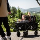 목스녹스 | 캠핑 웨건 추천! 목스녹스 접이식 캠핑 웨건 사용 후기