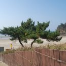 백사장어시장 이미지