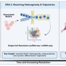 한빛 O. A 이미지