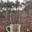 태연올갱이해장국 이미지