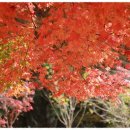 하당출장소 이미지