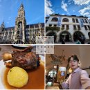 🇩🇪 독일 뮌헨 마리엔광장 맛집 호프브로이하우스 운영시간 이용요금 맥주 메뉴 [독일🇩🇪 체코🇨🇿 9박 12일...