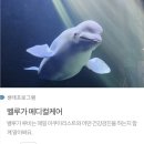 여수세계박람회장 | 여수 가볼만한곳, 아쿠아플라넷 여수 방문기!