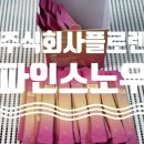 주식회사 더물 | 주식회사플로렌_파인스노우_탄단지분해효소_애사비효소_파인애플효소_제품_리뷰_후기