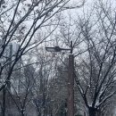 임오빌딩 | 2월의 첫 번째 기록