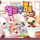헬로우펫 이미지