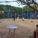 금남멧돼지 이미지