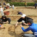 친환경나눔텃밭 이미지