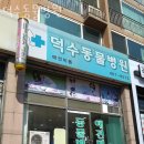 덕수동물병원 | 인천 간석동 동물병원 덕수동물병원 위치 오는길 후기