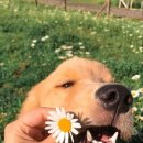 솔벨르