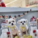 러브펫살롱 이미지