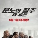총각갈매기 이미지