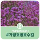 가평뒷동산길 이미지