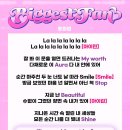 [공지] IRENE 'Biggest Fan' 응원법 안내! 이미지