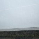 수석카메니저 | 사전 / 켈트신화, 현대를 깨우다 / 켈트 신화 공부 후기 및 책 추천 / 아일랜드 국화, 클로버 그 이유는...