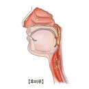 대화이비인후과가정의학과의원 이미지