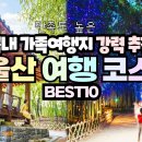 8월 국내 가족여행 가볼만한곳, 울산 당일치기 여행 코스 BEST10✨울산 태화강 백리대숲 이미지