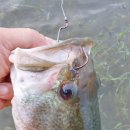 엘비모텔 이미지