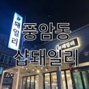 샵돼일리 이미지
