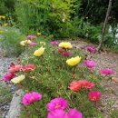 평화가머무는한옥민박 이미지