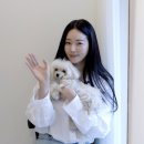 김사랑 카카오 검색결과