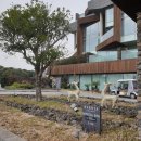 제주베이 이미지