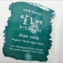 구십육퍼센트(96%) 네이버블로그