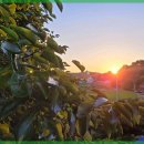 힐링펜션민박 이미지