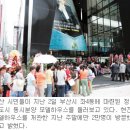 좌4동-6 국민일보