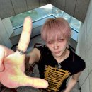 스쿨시티 이미지