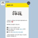보매화과