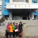 파파시스템 이미지