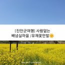 양지마을회관 | [진안군여행] 유채꽃 만발한 배넘실마을
