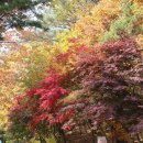 신북유통 이미지