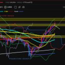산일바이오 이미지