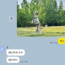5월: 봄과 여름의 틈에 움터나는 행복