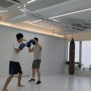 피알짐 이미지