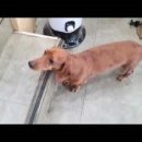 모라동물병원 이미지