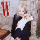 34로제 이미지