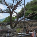 대은정(大隱亭) 이미지