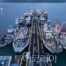 자바낚시 이미지